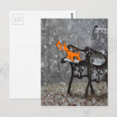 Cat vangt sneeuwvlokken op zijn tong briefkaart (Voorkant / Achterkant)