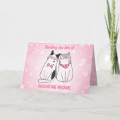 Cat Veel Meows Valentijn Kaart (Voorkant)