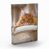 Cat Vertical Portrait Photo Schattige Letternaam Fotoblokken (Links)