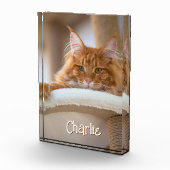 Cat Vertical Portrait Photo Schattige Letternaam Fotoblokken (Rechts)