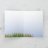 Cat verwelkomt vogels in de buurt | Nieuwe startpu Kaart (Binnen)