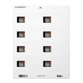 Cat Verzendlabel (Full Sheet)