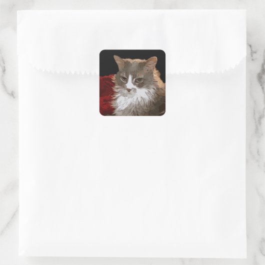 CAT VIERKANTE STICKER (Tas)