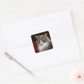 CAT VIERKANTE STICKER (Envelop)
