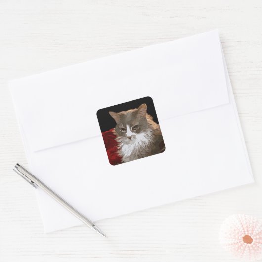 CAT VIERKANTE STICKER (Envelop)