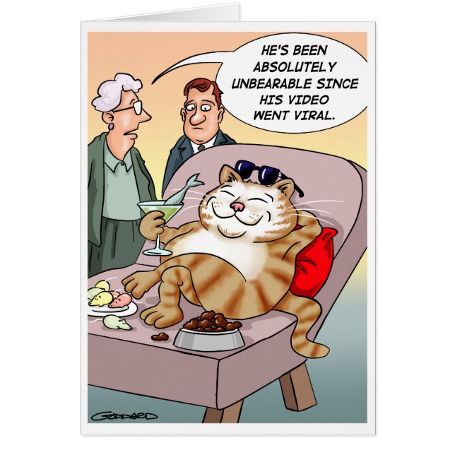 Cat Viral Video (Voorkant)