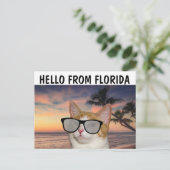 CAT VOOR NAAM HALLO VAN FLORIDA-Briefkaarten Briefkaart (Staand voorkant)