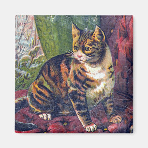 Cat-voorzitter Magneet
