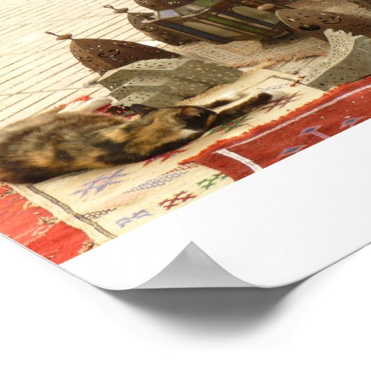 Cat Vs Lantern City Poster (Hoek)