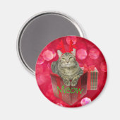 Cat Waiting for Santa Magneet (Voorkant / Achterkant)