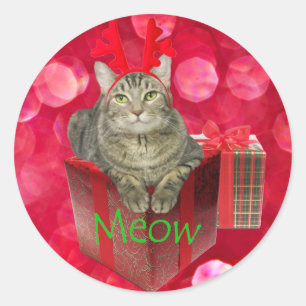 Cat Waiting for Santa Ronde Sticker