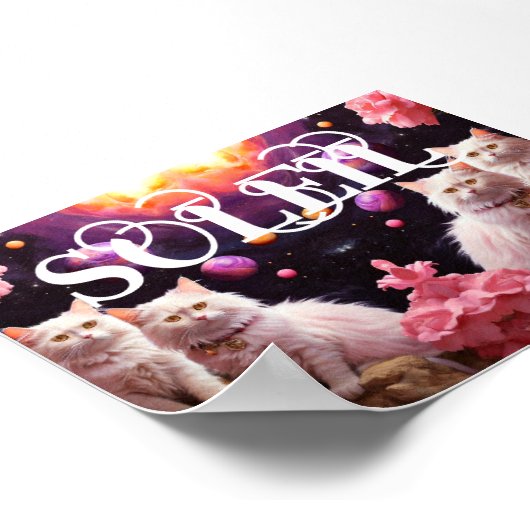 Cat Wall Art for Cat Lovers Poster (Hoek)