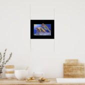 Cat Warriors Poster (Keuken)