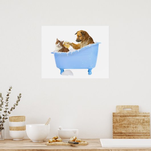Cat- Wash Poster (Keuken)
