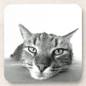 Cat Watching Onderzetter (Voorkant)