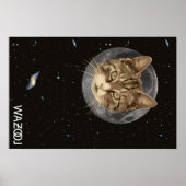 Cat Wazool Poster (Voorkant)