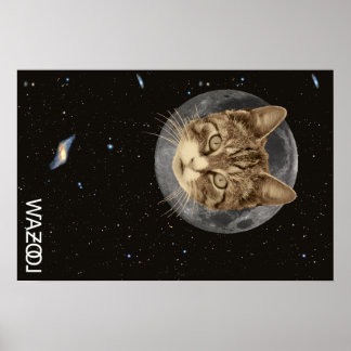 Cat Wazool Poster