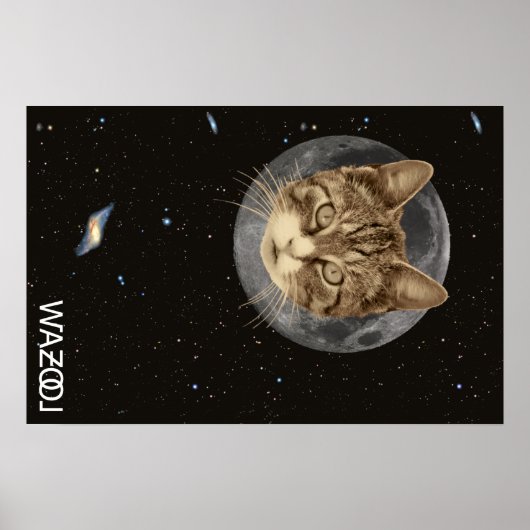 Cat Wazool Poster (Voorkant)