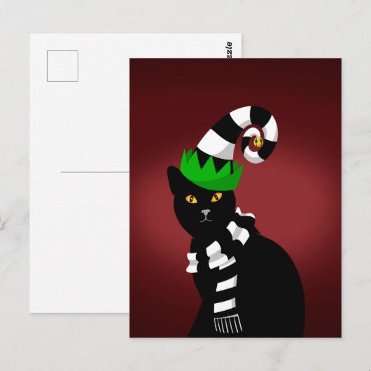 Cat wearing a Funny hat and Scarf Briefkaart (Voorkant / Achterkant)