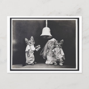 Cat Wedding  Oddity Briefkaart