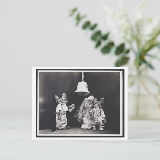 Cat Wedding  Oddity Briefkaart (Staand voorkant)