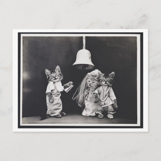 Cat Wedding  Oddity Briefkaart (Voorkant)