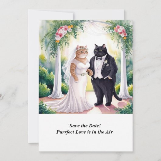 CAT WEDDING Save the Date uitnodiging (Voorkant)