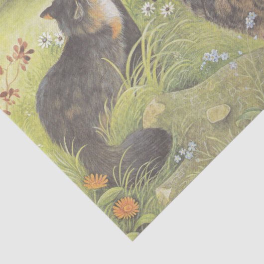 CAT-WEEFSELPAPIER TISSUEPAPIER (Detail)