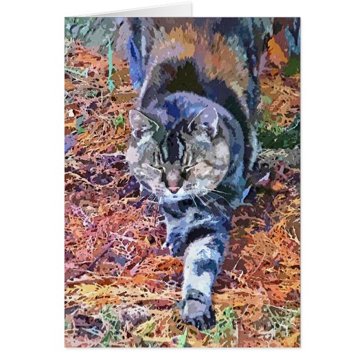 CAT-wenskaart (Voorkant)