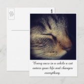 Cat White quote op Briefkaart (Voorkant / Achterkant)
