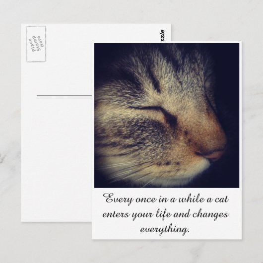 Cat White quote op Briefkaart (Voorkant / Achterkant)