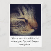 Cat White quote op Briefkaart (Voorkant)