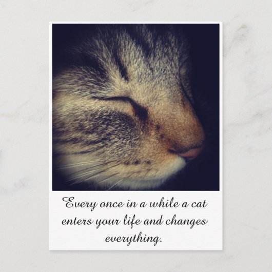Cat White quote op Briefkaart (Voorkant)