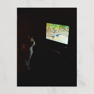 Cat Who Loves His Screentime Postcard Briefkaart