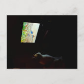 Cat Who Loves His Screentime Postcard Briefkaart (Voorkant)