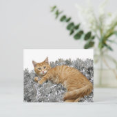 Cat Who me? Briefkaart (Staand voorkant)