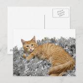 Cat Who me? Briefkaart (Voorkant / Achterkant)