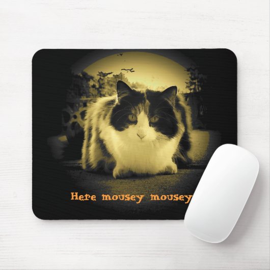 Cat wil dat muizen uitkomen en spelen muismat (Met muis)