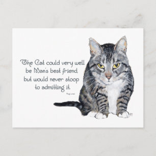 Cat Wisdom - en vriendschap Briefkaart
