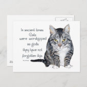 Cat Wisdom - in de oudheid waren Katten Briefkaart (Voorkant / Achterkant)