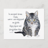 Cat Wisdom - in de oudheid waren Katten Briefkaart (Voorkant)