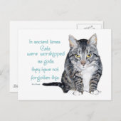 Cat Wisdom - in de oudheid waren Katten Briefkaart (Voorkant / Achterkant)