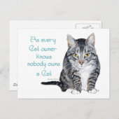 Cat Wisdom - zoals elke eigenaar van een kat weet Briefkaart (Voorkant / Achterkant)