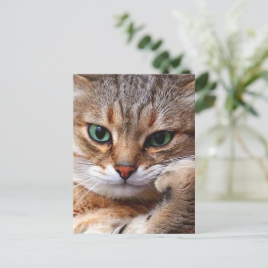 Cat with attitude briefkaart (Staand voorkant)