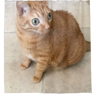 Cat With Big Eyes Shower Curtain Douchegordijn