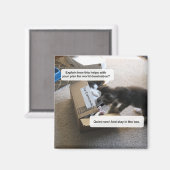 Cat World Domination Magnet (Voorkant / Achterkant)