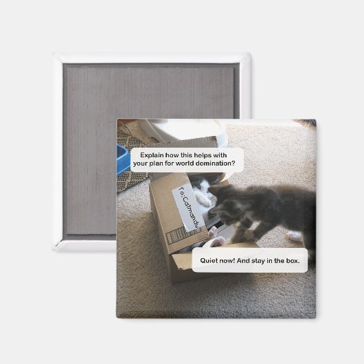 Cat World Domination Magnet (Voorkant / Achterkant)