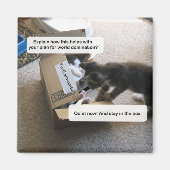 Cat World Domination Magnet (Voorkant)