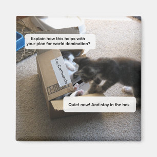 Cat World Domination Magnet