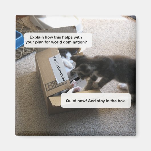 Cat World Domination Magnet (Voorkant)